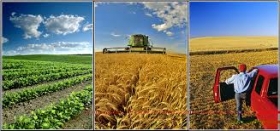 عنوان مقاله: بررسی تاثیر سرمایه‌گذاری در بخش کشاورزی بر قیمت مواد غذایی در ایران