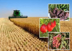 موانع پیشرفت کشاورزی در ایران 